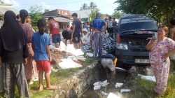 Pickup Muatan Bandeng, Terbalik di Siney Tengah