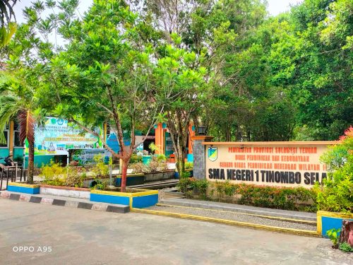 Usia 20 Tahun, SMAN 1 Tinsel, Tunjukan Wajah Sekolah, Ramah Lingkungan