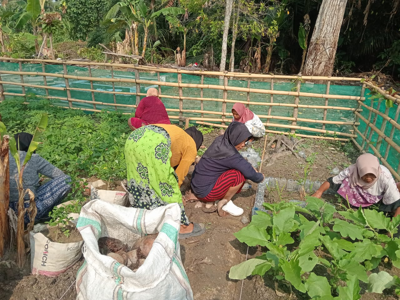Desa Poly Berbenah, Targetkan Prestasi di Loomba Desa Parimo